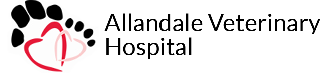 Allandale Vet Logo